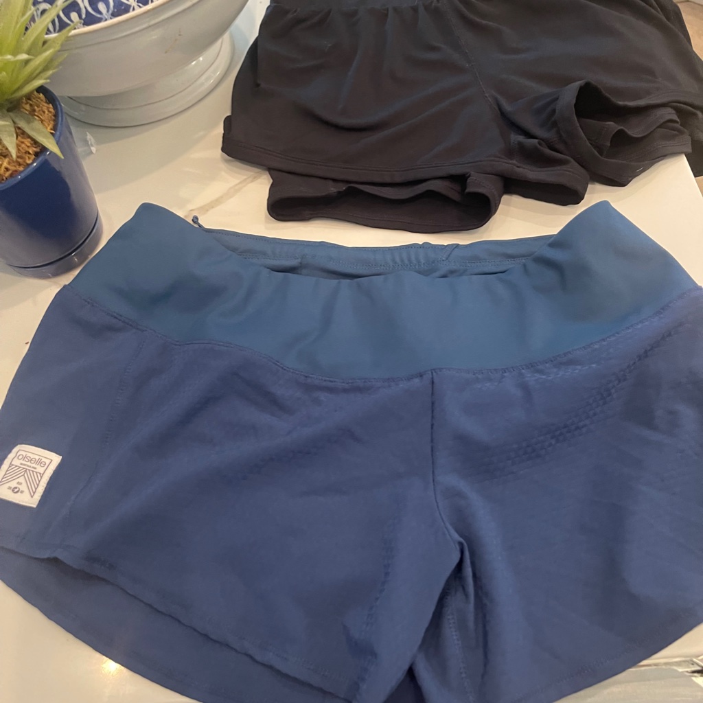 Fabletics, Victoria Secret & Orvis Women's Active Size Small Shorts Bundle- Nwt